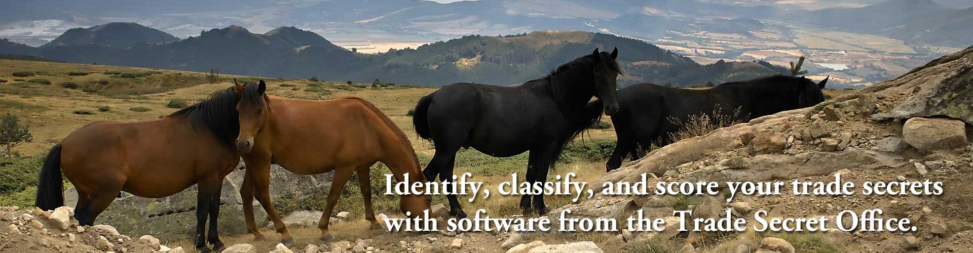 Identify, classify, and score your trade secrets with software from the Trade Secret Office.